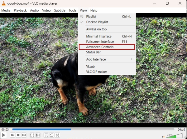 Bringing up "Advanced Controls" in VLC. 