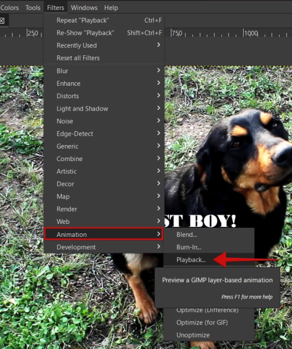 Previewing the GIF in GIMP. 