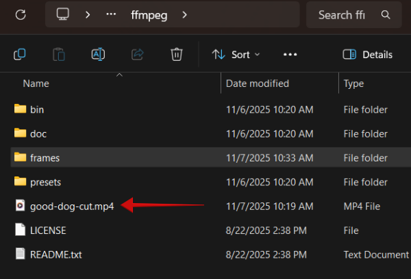 Frames directory view with cut video on Windows PC. 