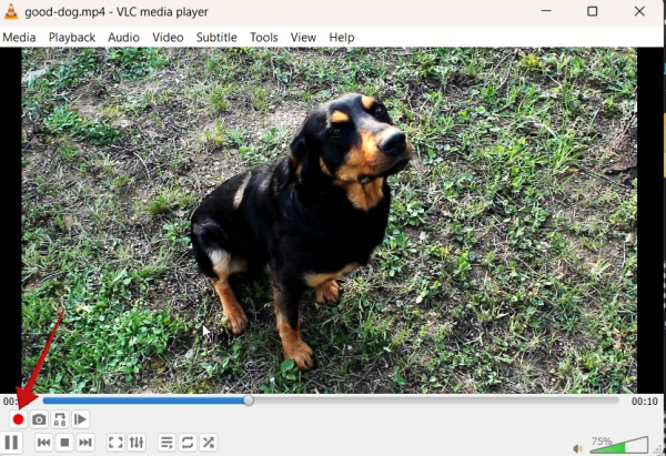 Pressing "Record" button in VLC. 