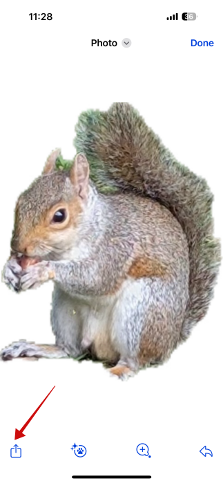 Pressing "Share" button on sticker view page in Messages app on iOS.