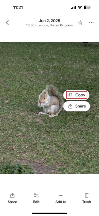Pressing "Copy" on sticker cutout in Google Photos app on iOS.