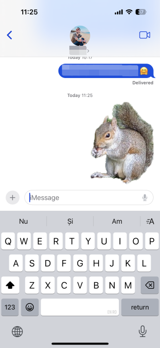 Sticker created with Google Photos pasted in Messages app on iOS.