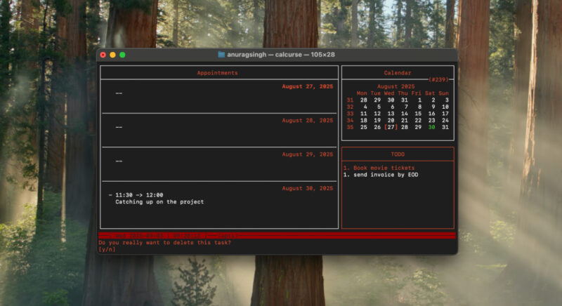 Deleting Entry Calcurse