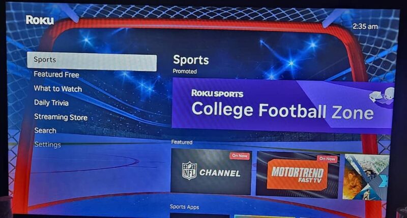 Loading the Roku Sports experience.