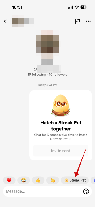 Tapping on "Streak Pet" option in TikTok app. 
