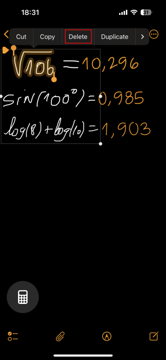 Pressing "Delete" on equation in Math Files on iPhone. 