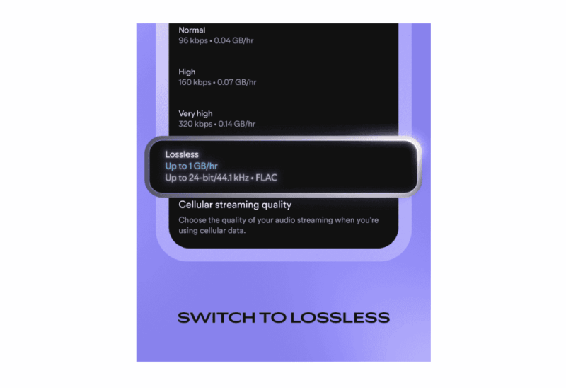 Lossless Audio Bigger Data Consumption