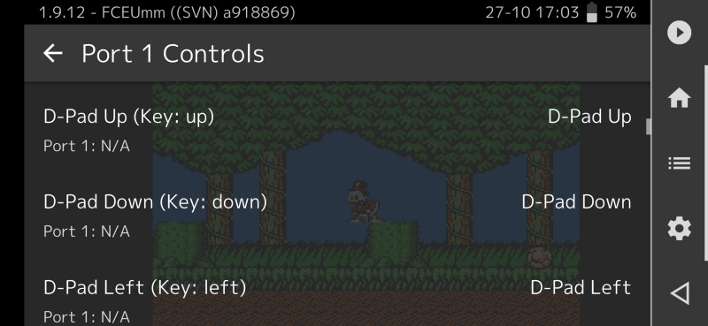 Customizing controls in RetroArch app on Android.