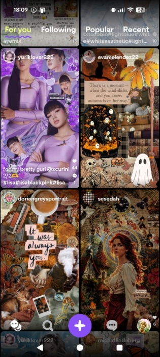 Feed view on Shuffles app. 