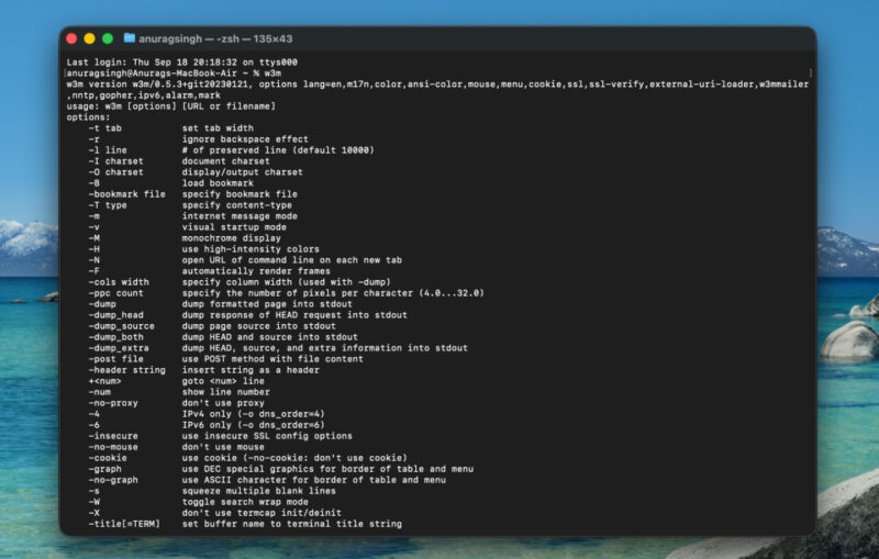Screenshot showing w3m homepage