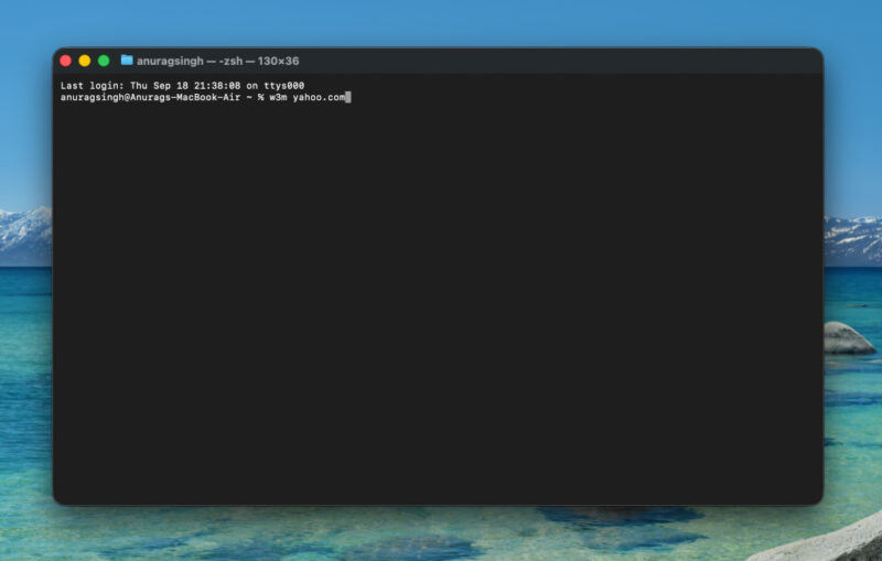 W3m command in action