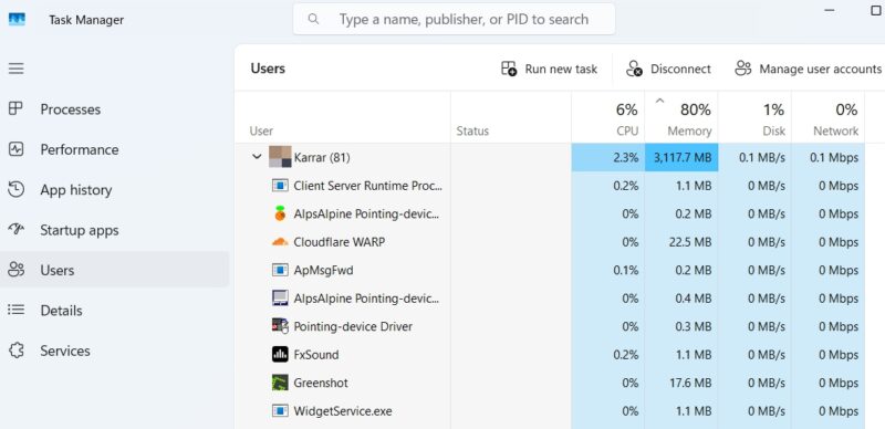 User processes in Windows 11 Task Manager