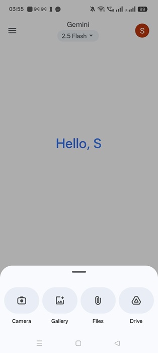 Various sources of uploading image to Gemini: Camera, gallery, files, Drive.