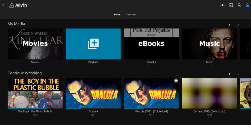 Screenshot showing Jellyfin homepage