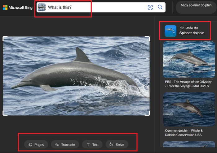 Analyzing results in visual search engine on Bing using Snipping Tool.