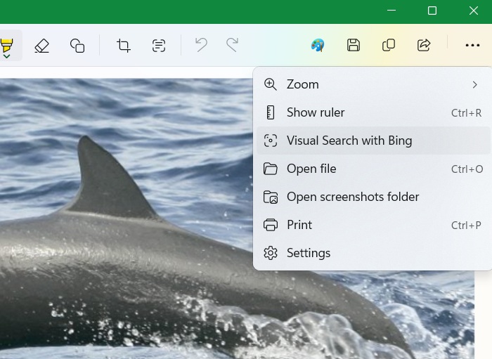 using "see more" in Snipping Tool Preview mode to select "Visual Search with Bing."