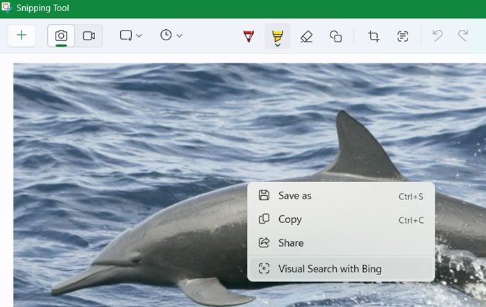 Right-click to launch visual search with Bing in Snipping Tool.