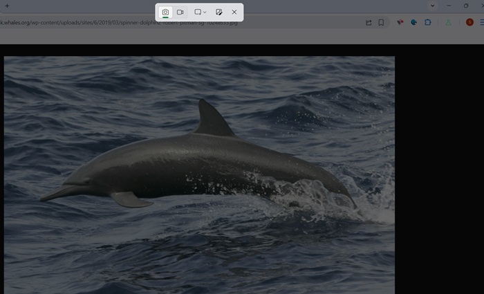 Snipping Tool toolbar on top of a Windows 11 screen with rectangular, freeform, window, or default modes.