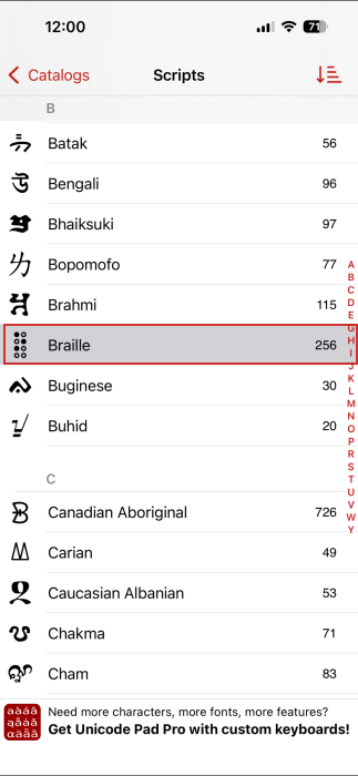 Selecting "Braille" option in Unicode Pad Express app on iPhone. 
