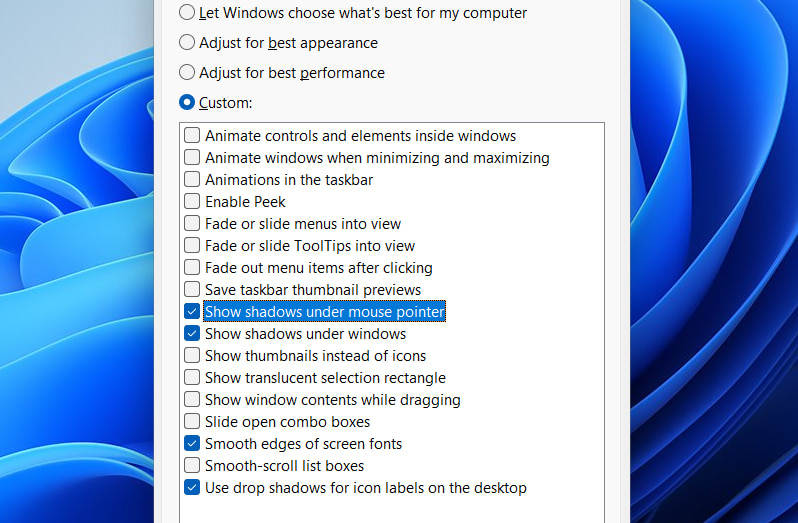 Windows Performance options with visual effects disabled