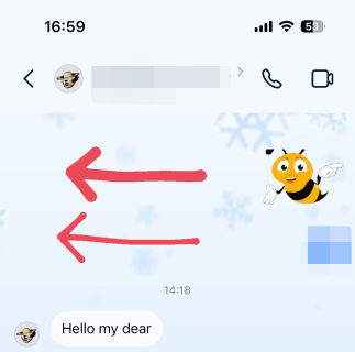 Annotation view from the receiver end in Instagram DMs on iPhone.