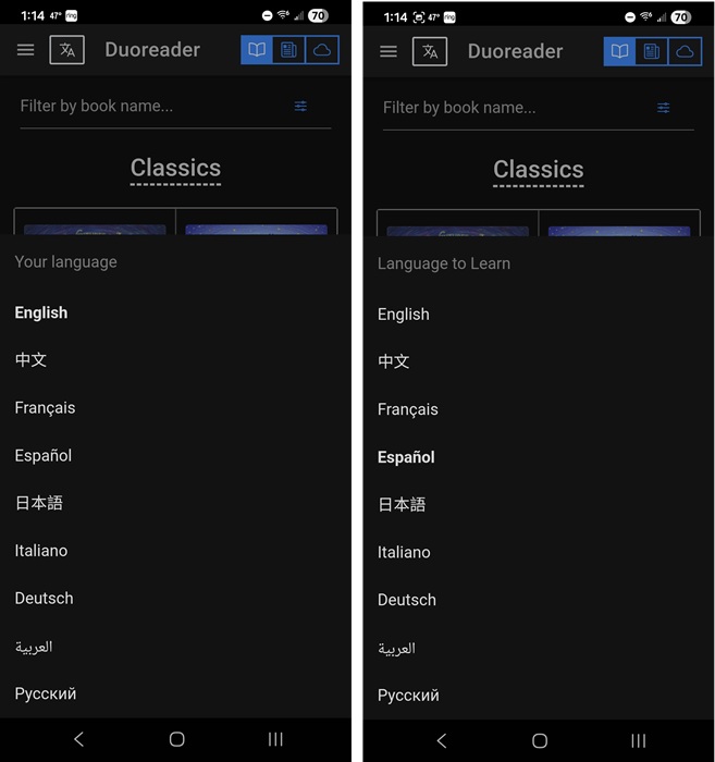 Choosing a language to learn on Duoreader.