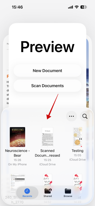 Viewing files from the Files app using the Preview app on iPhone. 