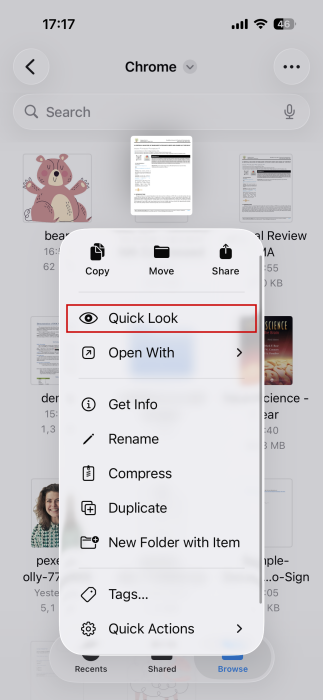 Tapping on "Quick Look" option for file in Files app on iPhone. 