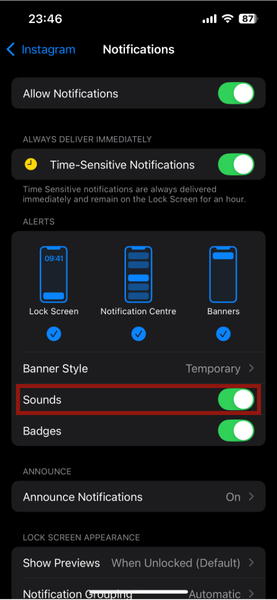 Iphone Settings Apps Notifications Sounds