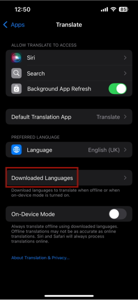 Iphone Translate Downloaded Languages