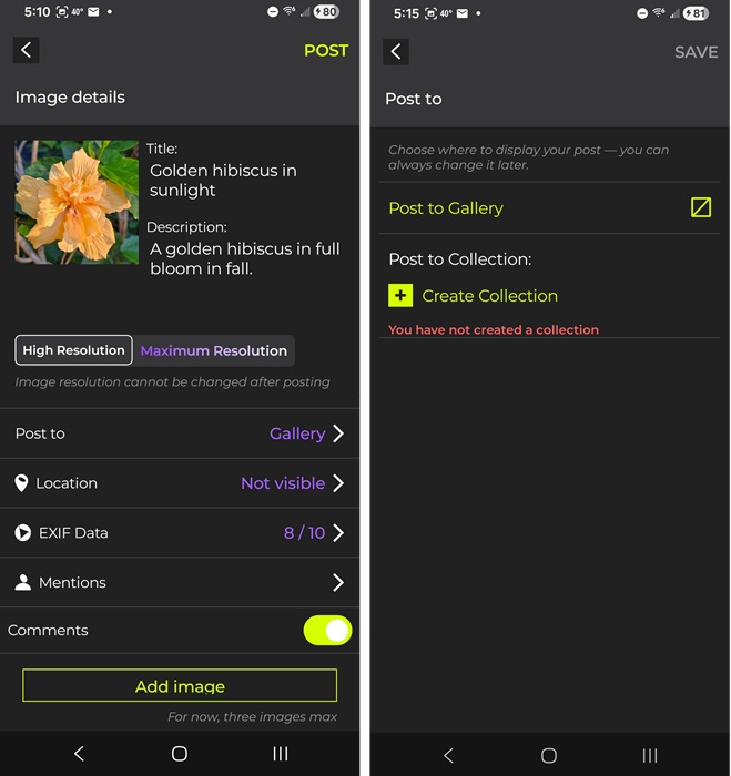 Posting a hibiscus photo on Irys.