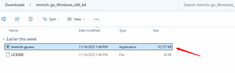 Run Immich Go Exe File