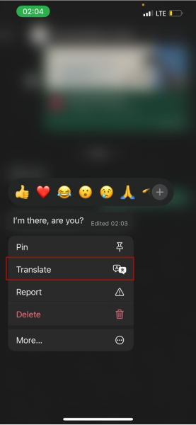 Whatsapp Text Translate