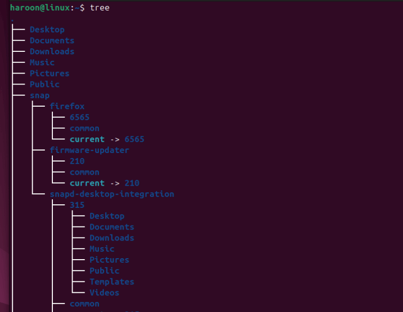 Displaying Tree Like Structure By Running Tree Command