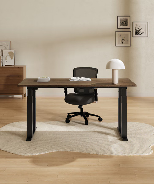 Flexispot Premium E7 Plus Standing Desk