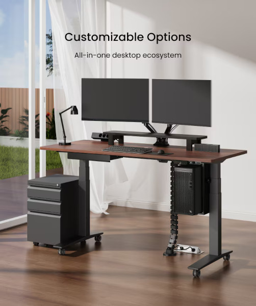 Flexispot Premium E7 Pro Standing Desk