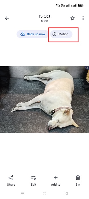 Motion Photos paused in Google Photos app.