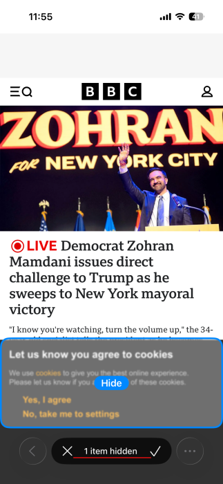 Safari letting you know that it has hidden 1 element in web page on iPhone.