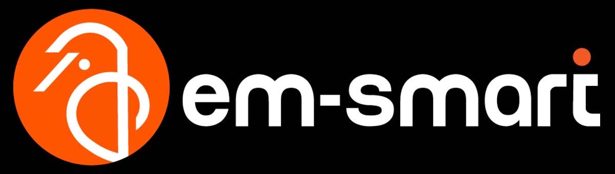EM-Smart