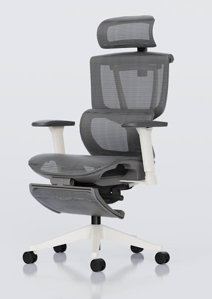 Flexispot C7 Ergonomic Chair