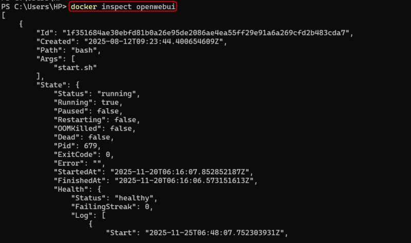 Inspect Container Image