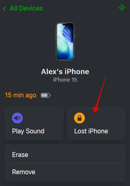 Activating "Lost iPhone" mode for phone in Find My on PC.