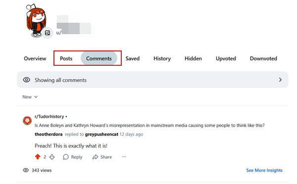 Viewing comments/posts history on Reddit on PC. 