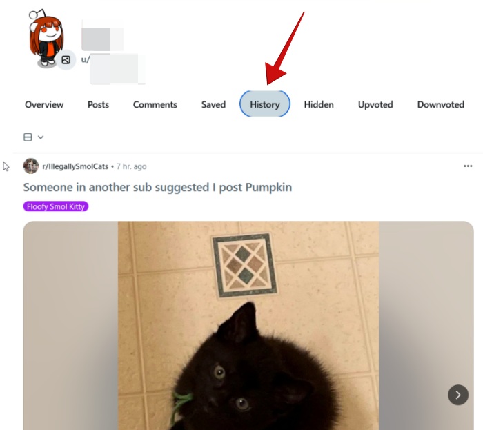 Accessing full browsing history on Reddit on PC. 