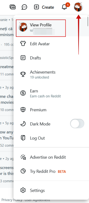 Clicking on "View Profile" on Reddit on PC. 