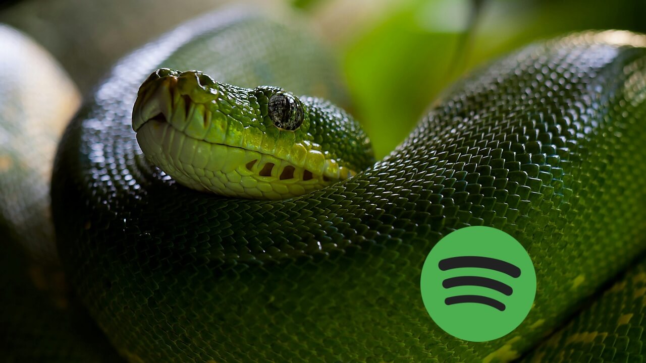 Snake Game Spotify Featured