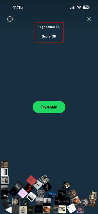 Viewing score for Snake game in Spotify app.