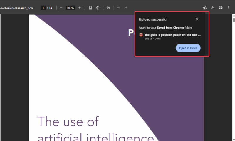 Successful Pdf To Drive Upload