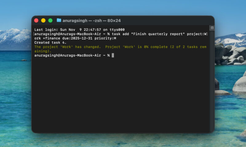 Taskwarrior project report status